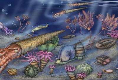 寒武紀生命大爆發 地球生命形態的驟然綻放