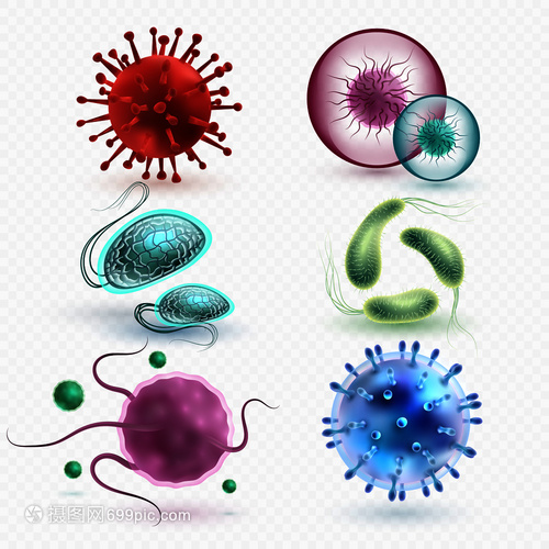 3D現(xiàn)實中的微生物與細(xì)菌 隔離、媒集與微觀世界的探索